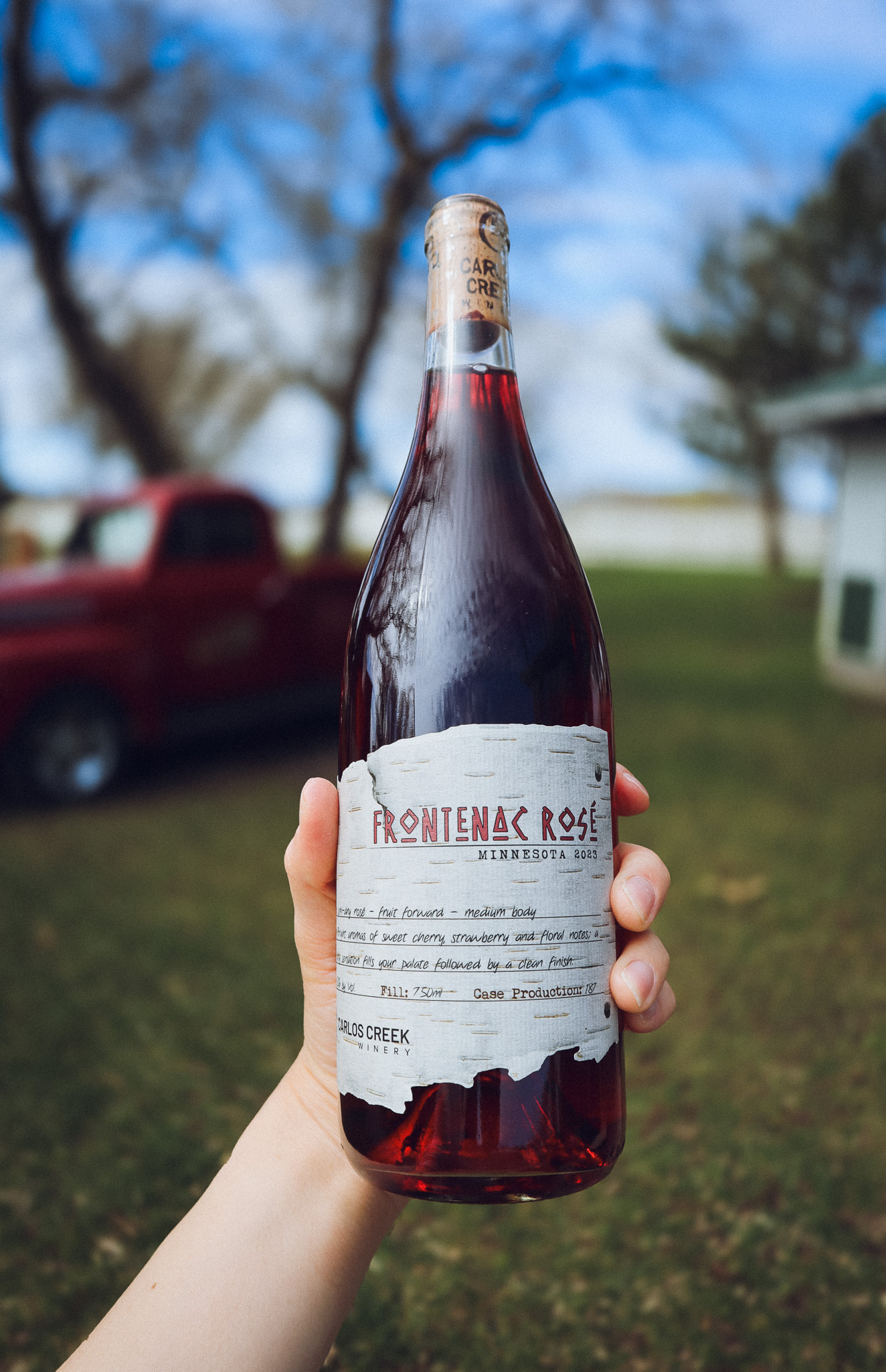 2023 Frontenac Rosé