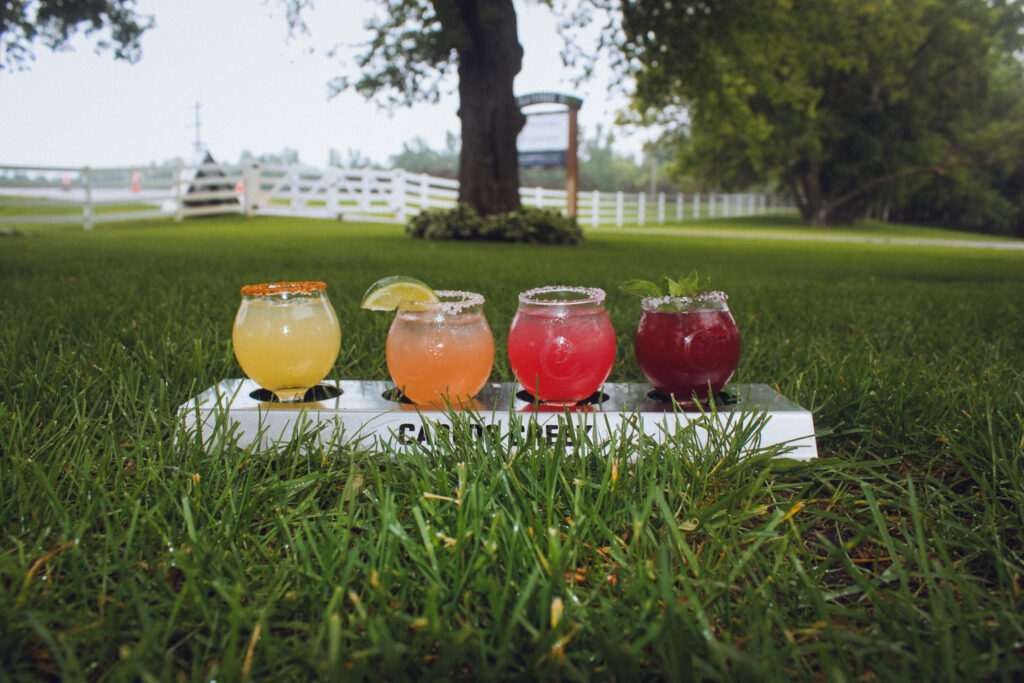 four margaritas sit on the grass