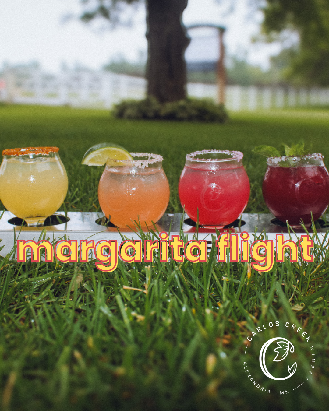 margaritas