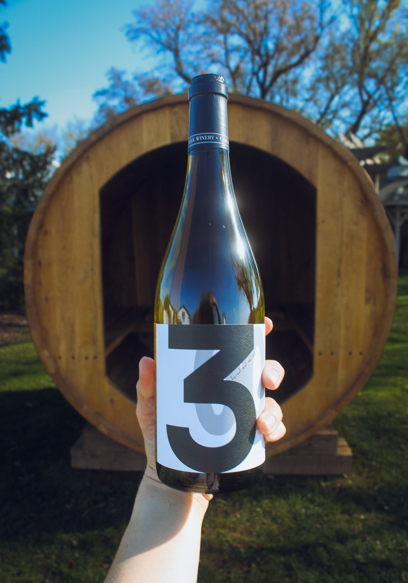 2017 300 Series Prairie Star