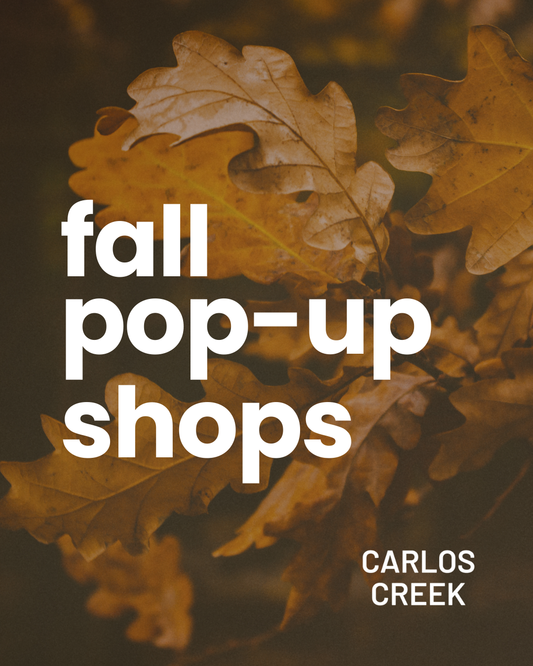 fall pop up logo on top of leaves