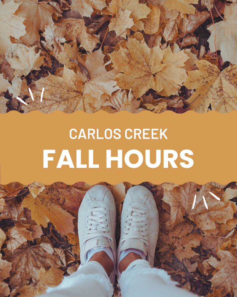 Fall hours begin | Carlos Creek