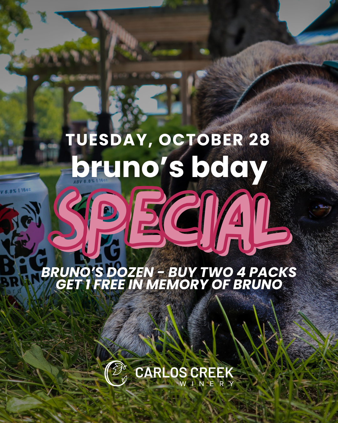 bruno the dog poses by two cider cans. text says bruno's bday special.
