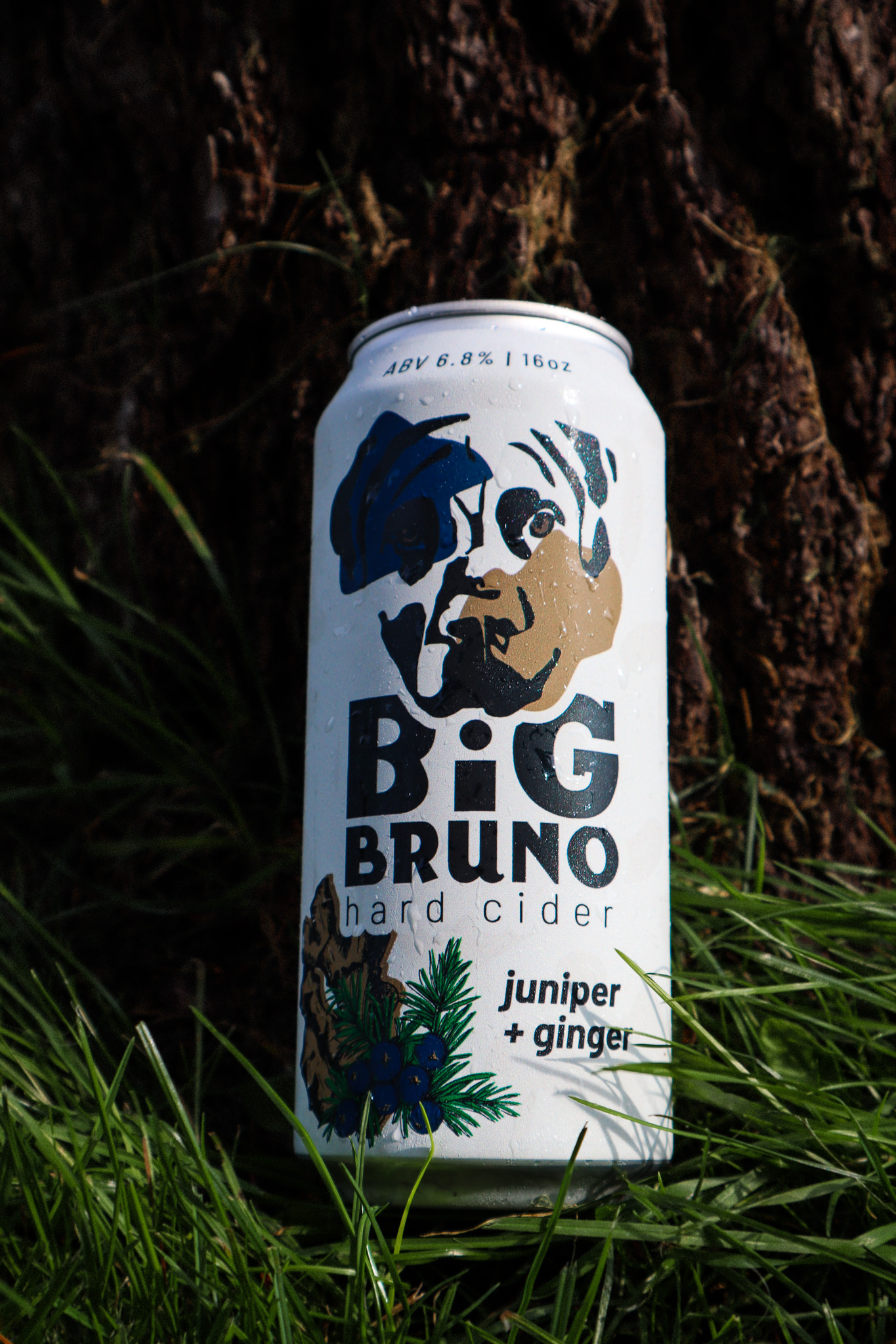 Carlos Creek Winery Big Bruno Hard Cider can.