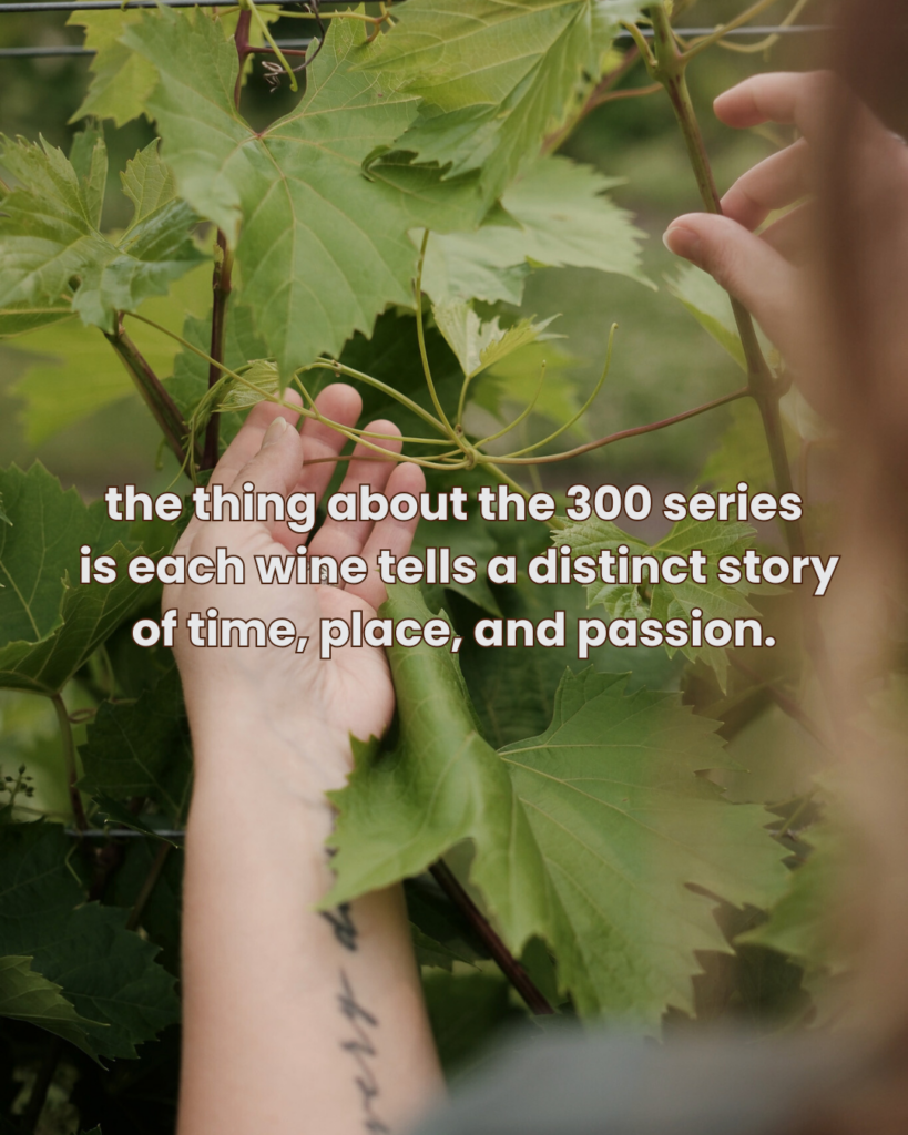 Our 300 Label Series is reserved for the best of the best wines from Carlos Creek. The wines in this series are unique; each is taken from a single barrel, chosen as the exemplary expression of that grape.