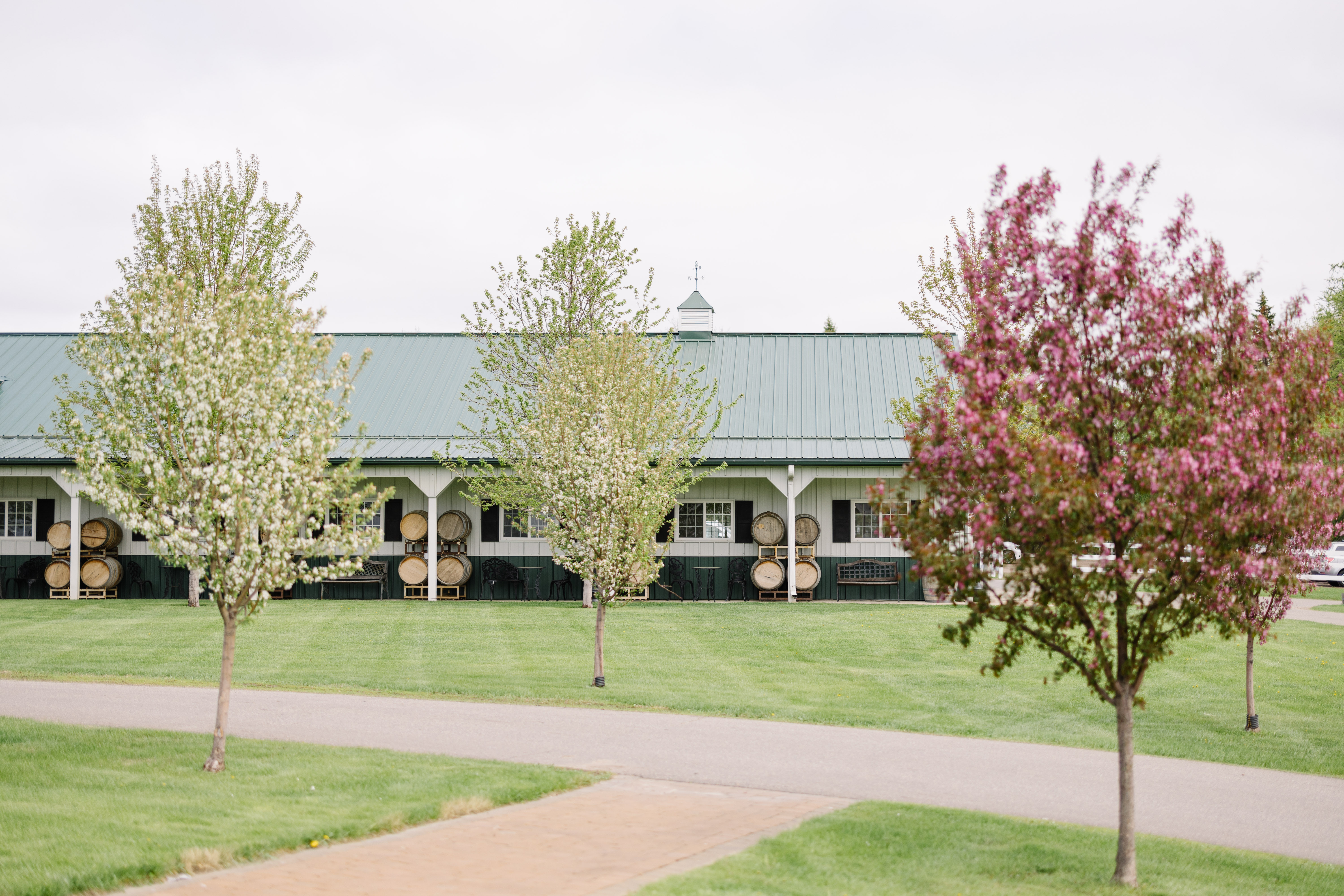 Spring at Carlos Creek