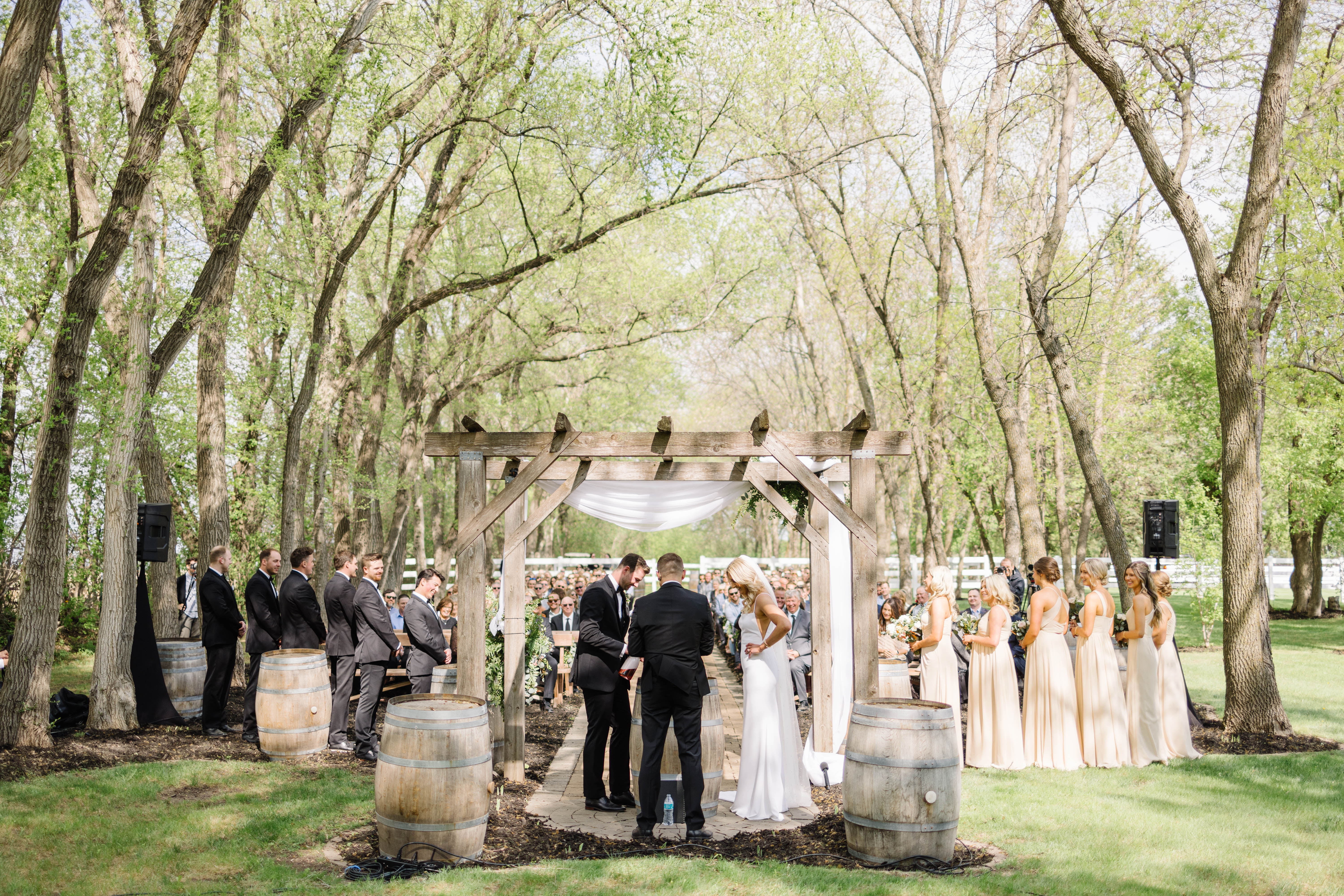 Wedding at the natural Cathedral at Carlos Creek in Alexandria, MN