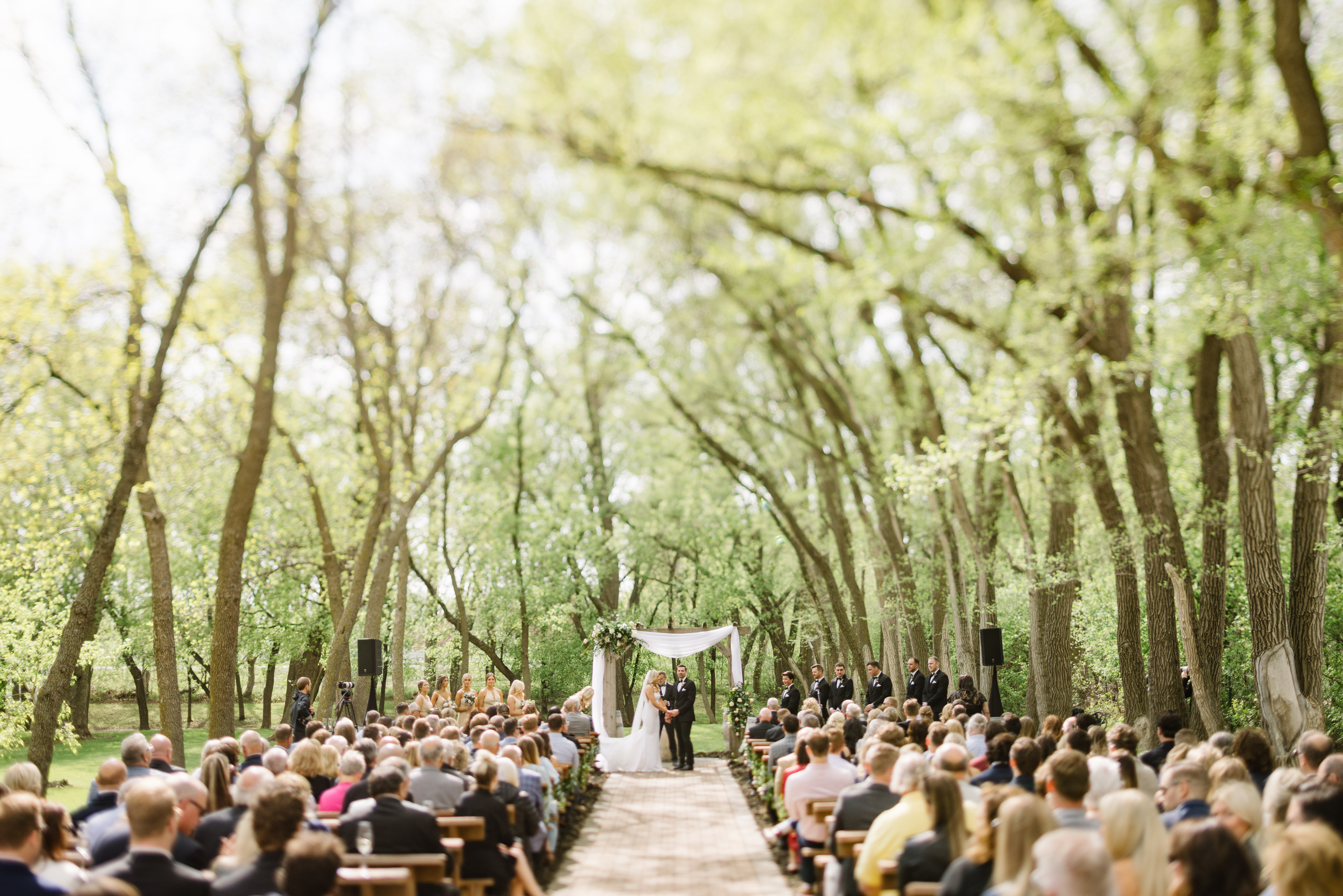 Spring wedding at Carlos Creek in Alexandria, MN