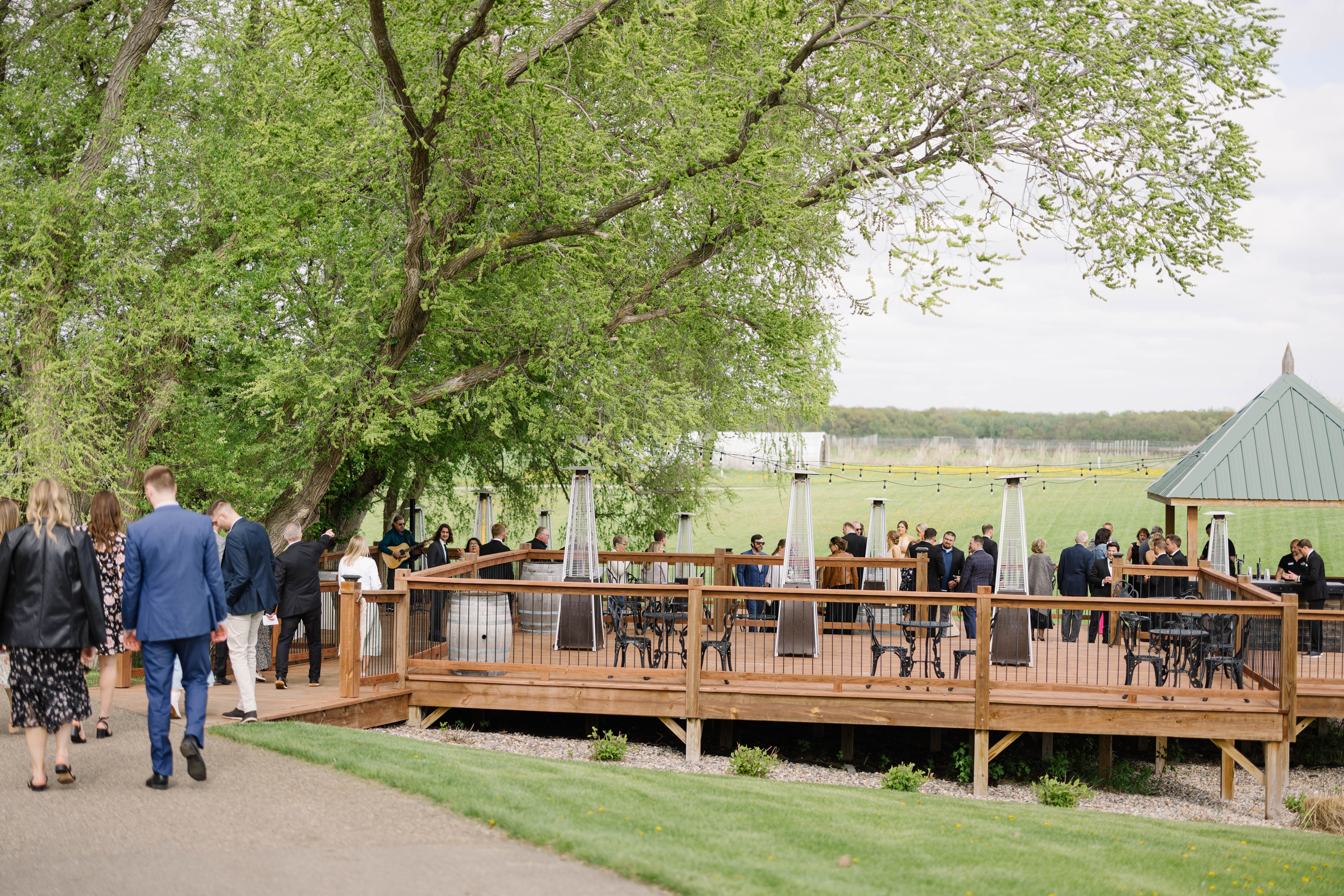 Wedding social hour Carlos Creek in Alexandria, MN