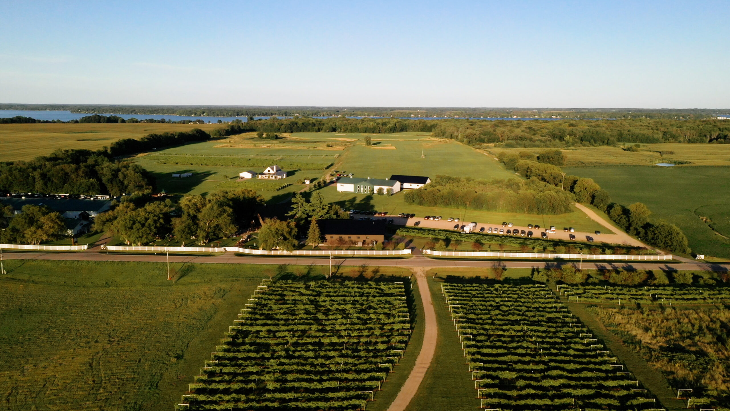 Photo of Carlos Creek Winery's vineyard in Alexandria, MN.